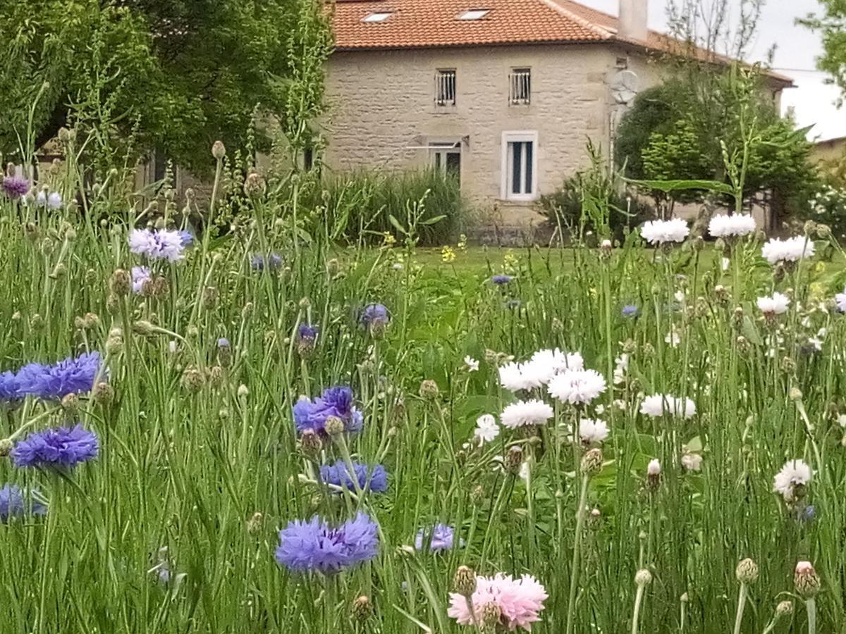 Chambres D'Hotes Chateau Pierre De Montignac Civrac-en-Médoc Exterior photo